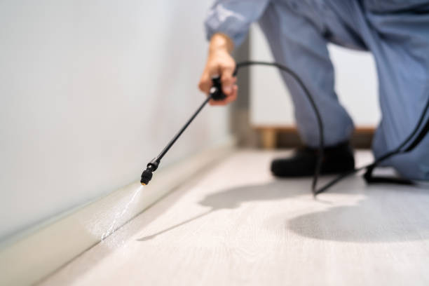 Licensed Pest Control service in Moss Beach, CA - Show Me Pest Control
