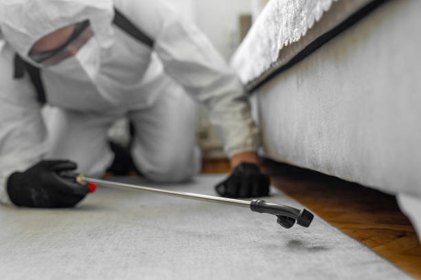 Professional Ant Control technician working in Moss Beach, CA